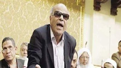 البدري فرغلي.. صفحات من رحلة نائب الشوارع في البرلمان