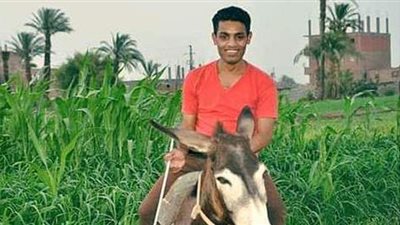 «رحلتك بحمارك».. شباب أسيوط يركبوا التريند بالحمار | صور