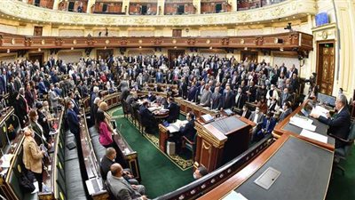 لمدة عام.. تفاصيل تبرع أعضاء البرلمان بنصف مكافآتهم لصندوق الشهداء