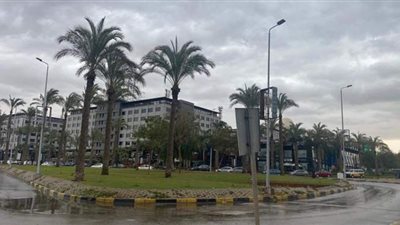 أجواء أوروبية تُسيطر على التجمع ومصر الجديدة بسبب أليكسا2 |فيديو وصور