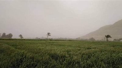 ماذا فعلت العاصفة أليكسا 2 في هذه المحافظات؟  |فيديو وصور