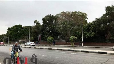 سيولة مرورية وانخفاض في درجات الحرارة بالقاهرة | فيديو وصور