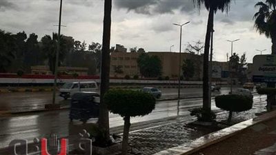 سقوط أمطار مصحوبة ببرودة شديدة على أنحاء متفرقة في الغربية |صور