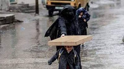 طقس أوروبي في مصر.. هاشتاج #الأجواء_الشتوية يضرب تويتر