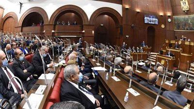 بعد الموافقة على اللائحة.. ماذا ينتظر مجلس الشيوخ لعقد جلساته؟