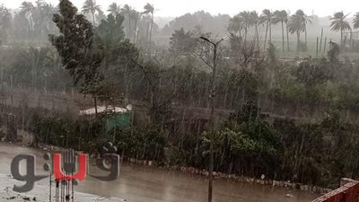 لليوم الثاني.. استمرار سقوط الأمطار بالغربية | صور