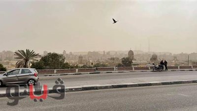 رياح وغيوم وانخفاض في درجات الحرارة بالقاهرة والجيزة بسبب أليكسا ٢ | فيديو