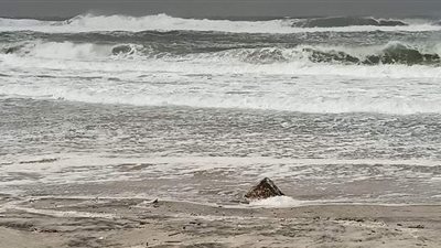 رياح شديدة وارتفاع أمواج البحر في ثاني أيام عاصفة أليكسا 2 | فيديو