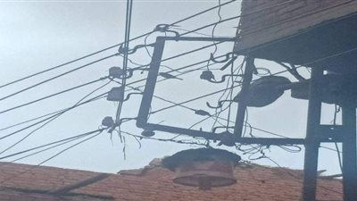 تعويض صاحب الجاموسة النافقة بسبب ماس كهربائي بالقليوبية