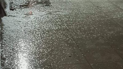 شوارع الإسكندرية تكتسي بالثلوج بسبب عاصفة اليكسا٢| صور