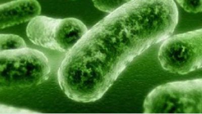 11 فائدة لبكتيريا البروبيوتيك للصحة في ظل جائحة كورونا