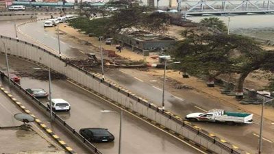 إصابة سائق سقطت عليه شجرة بسبب سرعة الرياح في قنا