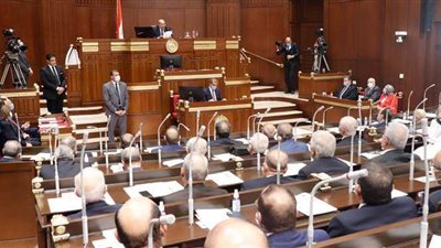 بعد الموافقة على اللائحة.. تعرف على اختصاصات اللجنة العامة لمجلس الشيوخ