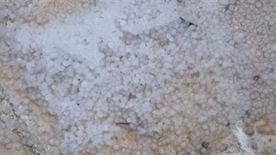 أليكسا ٢ تواصل استهداف الإسكندرية بأمطار ثلجية | صور