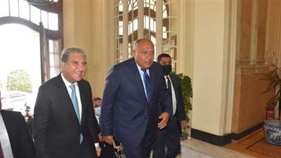 سامح شكري: باكستان حريصة علي دعم القضايا المصرية والعربية