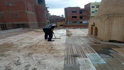 سقوط 3 نخلات وعمودي إنارة بسبب الطقس السيئ في القناطر الخيرية