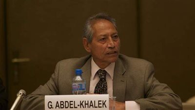 عبدالخالق: الاستثمار في بناء المواطن يخلق قدرة على الإبداع والإنتاج