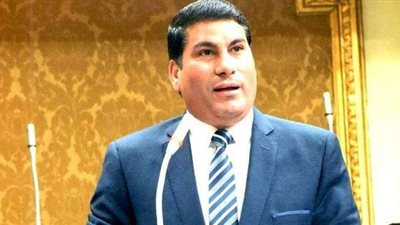 ليهم نقابة.. برلماني يكشف سبب عدم ضم الأطباء لقانون الشهداء