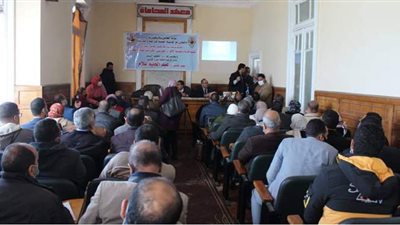 ندوة عن الإقرار الضريبي إلكترونيا للمحامين في الإسكندرية | صور