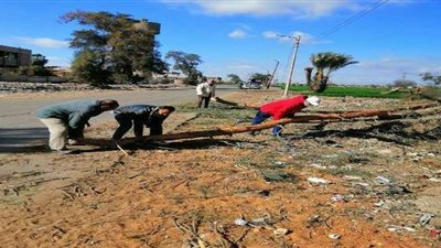 خسائر القليوبية من إليكسا.. سقوط 21 شجرة وعمود إنارة وحريق بشقة