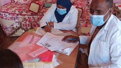 حملات ميدانية للتوعوية بمنظومة التأمين الصحي الشامل الجديدة بأسوان