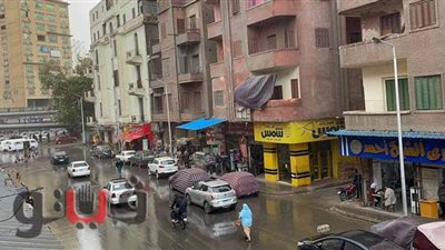 سقوط أمطار على القاهرة والجيزة | فيديو وصور