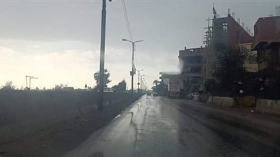 تعطل حركة القطارات 30 دقيقة بسبب سقوط شجرة على قضبان السكة الحديد بالدقهلية