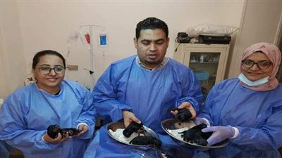 ولادتان قيصريتان لإنقاذ حياة كلبة وقطة يحملان نفس الاسم ببنها