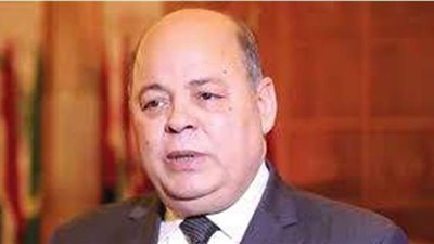 وزير الثقافة الأسبق: قلت للسيسي لو مفضناش اعتصام رابعة البلد هتتحول إلى فوضى | فيديو