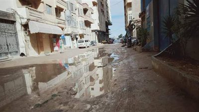 تحسن طقس الإسكندرية مع انكسار نوة الشمس الصغرى | صور