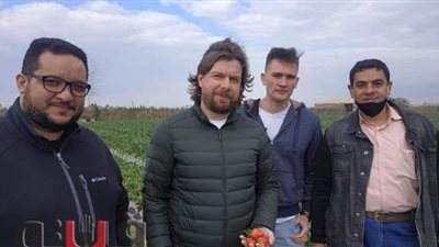 فتح أسواق جديدة لتصدير الفراولة الإسماعلاوي إلى روسيا | صور