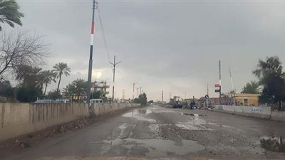 أمطار وغيوم تضرب محافظة الدقهلية | فيديو وصور