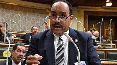 برلماني: مواجهة الزيادة السكانية تتطلب تكاتف جميع مؤسسات الدولة