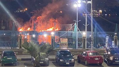 نشوب حريق في نخيل جزيرة وسط النيل أمام قسم شرطة الجيزة | فيديو
