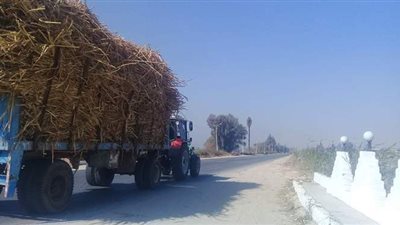 طرق الموت بسوهاج.. جرارات القصب تحصد أرواح المواطنين.. الحوادث تنتشر بسبب المنحنيات الخطيرة والمتهالكة.. والأهالي تستغيث