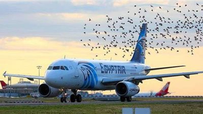 الوزن المسموح به على مصر للطيران وقيمة الإضافي