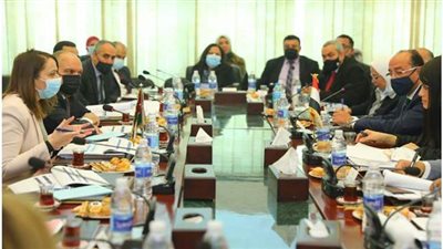 التعاون تبحث مشروع الربط الكهربائي بين مصر والأردن والعراق