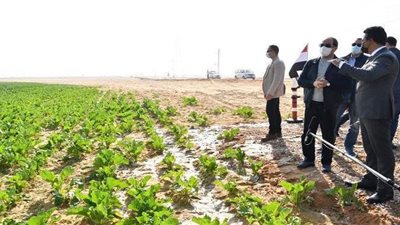 مستجدات مشروع تبطين الترع.. الانتهاء من ألف كيلو وجار تنفيذ 4 آلاف