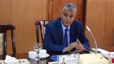 علي عبد الرحمن عميداً لطب جنوب الوادي