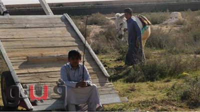 منسق حياة كريمة بمطروح: رفع مستوى المعيشة بـ 11 قرية في المرحلتين الأولي والثانية