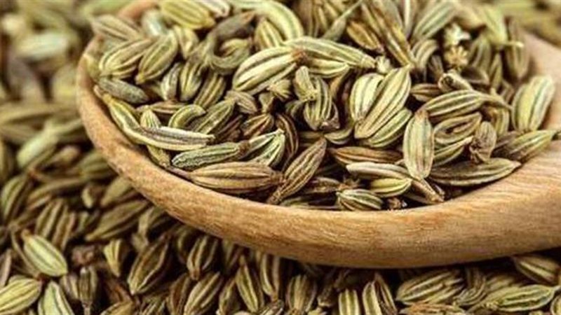 فوائد الشمر