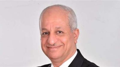 خبير: تحويل مليون توك توك إلى مركبة كهربائية بالتعاون مع القطاع الخاص