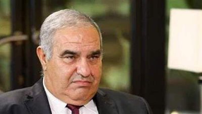 رئيس الدستورية العليا: السيسي يؤدي عمله بكل حب | فيديو