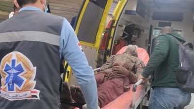 كيف تعاملت التضامن مع أطفال الشوارع والمسنين في الشتاء؟ | صور