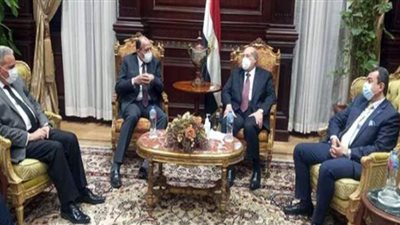 رئيس مجلس الشيوخ: مستعدون لتقديم كل الدعم لنادي القضاة