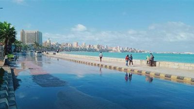 ميناء الإسكندرية: نشاط ملحوظ في حركة الملاحة ونقل البضائع