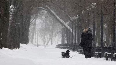 تقرير: 30 ألف في تكساس بلا كهرباء بعد عاصفة قطبية مميتة