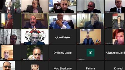 اتحاد المصريين في الخارج ينظم ندوة 