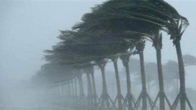 الأرصاد الجوية تكشف حقيقة تعرض مصر لعاصفة القرش | فيديو