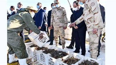 مستجدات دعم صغار الصيادين تنفيذا لتكليف الرئيس